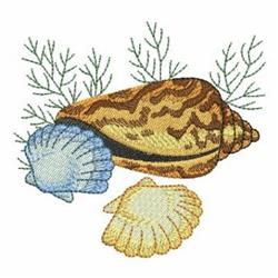 Conch & Clams - 4x4 clam detailed machine embroidery design for Artistic Journals