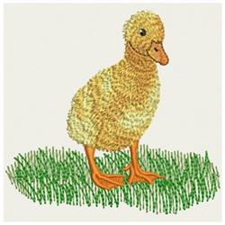 Cuddly Ducks - 4x4 bird detailed machine embroidery design perfect for Baby Blankets