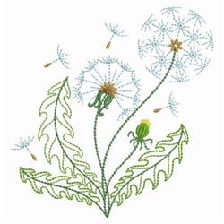 Delicate dandelion bloom with fluffy seed heads, soft green leaves, and bright yellow buds, perfect for spring.
