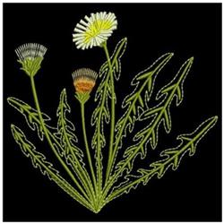 Dandelion Delight - 4x4 leaf detailed machine embroidery design for reusable tote bags