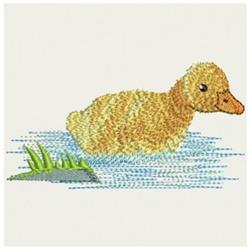 Duckling