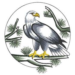 Realistic eagle with gray and white feathers perched on vibrant green branches, surrounded by pine needles.
