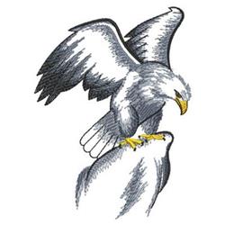 Realistic eagle with spread wings showcases intricate feathers, paired with a tilted seagull in bold detail.