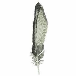 Realistic feather in shades of green and gray, showcasing intricate texture and natural detailing.