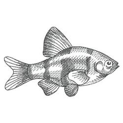 Stylized fish with striped patterns and detailed fins in a minimalist sketch style for casual embroidery.