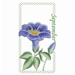 Cross stitch flower design featuring a vibrant blue morning glory with yellow accents, green leaves, and 'September' text.