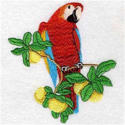 Fruit Tree Parrot - 5x7 bird detailed machine embroidery design for reusable tote bags