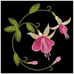 Vibrant pink fuchsia flowers with delicate petals and lush green leaves on a striking black background.