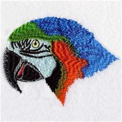 Macaw Head