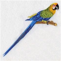 bird detailed machine digital embroidery - Macaw Parrot perfect for kitchen tea towels