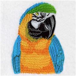 detailed bird machine embroidery pattern - Macaw Torso perfect for kitchen tea towels