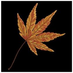 Vibrant maple leaf in red, orange, and yellow on a black background, detailed and realistic for autumn decor.