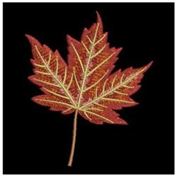 Vibrant red maple leaf with intricate yellow veins, showcased on a black background, featuring detailed textures of autumn.