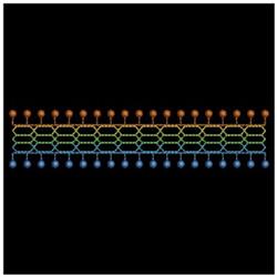 Decorative border design with multicolored beads and intertwined lines against a black background.