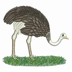 detailed bird machine embroidery pattern - Ostrich perfect for reusable tote bags