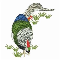 Pheasant with vibrant green and blue feathers and a red beak, foraging in lush grass, ideal for nature lovers.