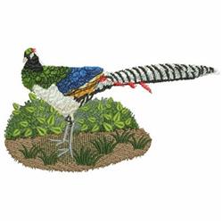 detailed bird machine embroidery pattern - Pheasant Scene perfect for kitchen aprons