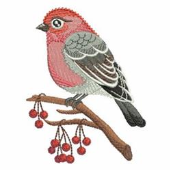 bird detailed machine embroidery - Pine Grosbeak perfect for patchwork quilt blocks
