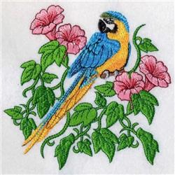 bird detailed machine digital embroidery - Pretty Macaw perfect for reusable tote bags