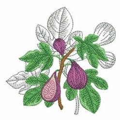 Realistic Figs - 4x4 leaf detailed machine embroidery design for kitchen tea towels
