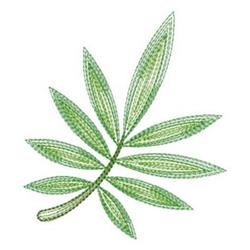Rippled leaf with detailed elongated leaflets in various shades of green, showcasing natural beauty.