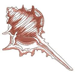 Realistic sea shell with intricate brown and cream textures, featuring a pointed tip and spiral design.