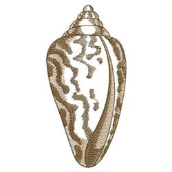 Realistic seashell with intricate patterns in brown shades, showcasing textured detail and a glossy finish.