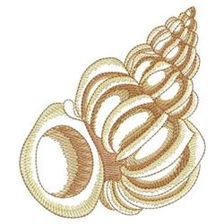 Realistic seashell embroidery with smooth curves in natural beige and cream tones, perfect for summer decor.