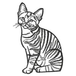Sitting Cat