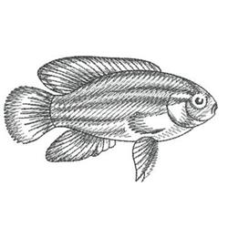 fish beginner-friendly machine embroidery - Sketched Fish for patchwork quilt blocks