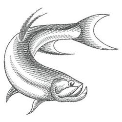 Sketchy fish design features flowing curves and detailed shading, perfect for machine embroidery on kitchen towels.