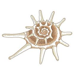 Realistic seashell with a spiral pattern, in beige and cream colors, showcasing a textured appearance.