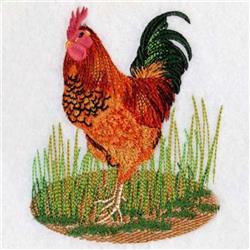 Standing Rooster - 4x4 bird detailed embroidery design for decorative pillow covers