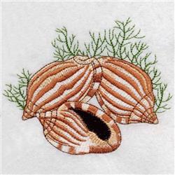 Striped Seashells - 4x4 starfish detailed embroidery design for Towel Embellishments