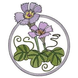 Delicate violet flowers with soft petals and intricate green leaves in a circular frame for floral elegance.