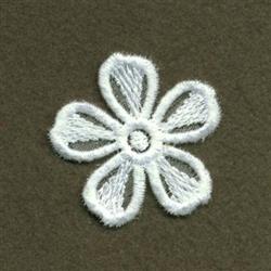 Delicate white flower with six rounded petals and openwork effect on a soft brown background.