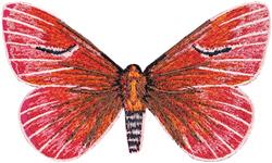 butterfly detailed machine embroidery - Dirphia Moa small for patchwork quilt blocks