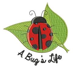 Playful ladybug with black spots on a green leaf, featuring 'A Bug's Life' in whimsical black text.