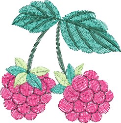 Raspberry Embroidery Design | EmbroideryDesigns.com