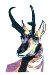 detailed antelope machine embroidery pattern - Antelope perfect for reusable tote bags