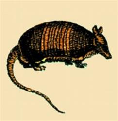 armadillo beginner-friendly machine embroidery - Armadillo for reusable tote bags