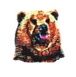 Realistic bear face with detailed brown fur and striking features in a vibrant design, perfect for machine embroidery.
