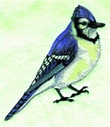 beginner-friendly bird machine embroidery pattern - Blue Jay for decorative wall hangings