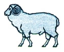 Cartoonish blue sheep with a fluffy body and curly horn, perfect for children's playful designs.