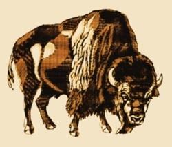 detailed buffalo machine embroidery pattern - Buffalo perfect for reusable tote bags