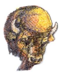 beginner-friendly head machine embroidery pattern - Buffalo Head for kitchen aprons
