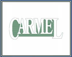 Carmel - carmel detailed machine embroidery design perfect for reusable tote bags