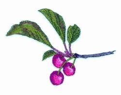 beginner-friendly tree machine embroidery pattern - Cherries perfect for kitchen aprons
