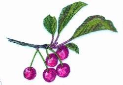 Cherry Bunch - 4x4 tree beginner-friendly embroidery design for reusable tote bags
