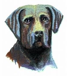 CHESAPEAKE - 4x4 puppy dog detailed machine embroidery design perfect for Dog Beds